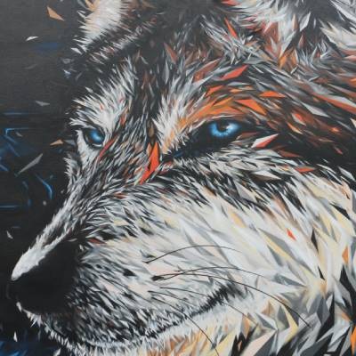 mehsos de namur street art animal belgique