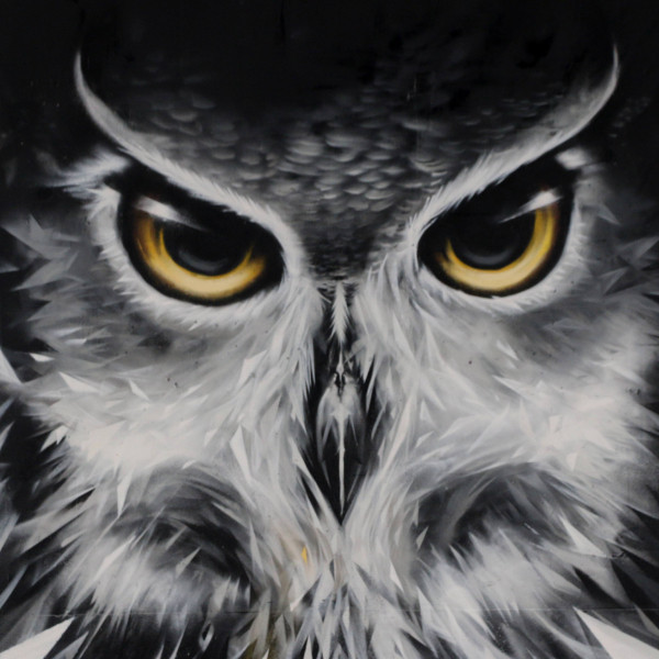 Un portrait de hibou dans un hall of fame de Bruxelles