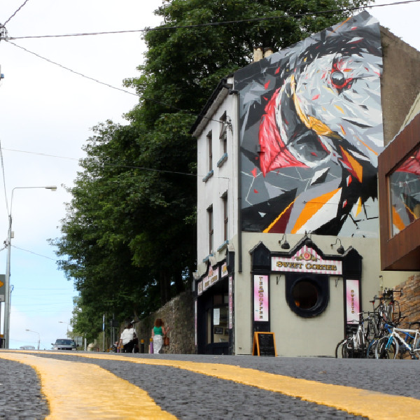 Festival d'art urbain et street art à Waterford en Irlande
